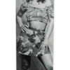 Chocolate Disco Toni Skateboard Deck - Aikens - 8.50" -Powell Peralta Store 889846257164 1