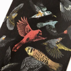 Landyachtz Stratus 46 Sanctuary Pre-Built Longboard Complete -Powell Peralta Store BQ69A82 3 new