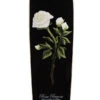 Daddies Rose City Drop-Thru Longboard Complete -Powell Peralta Store Rosa Rugosa c